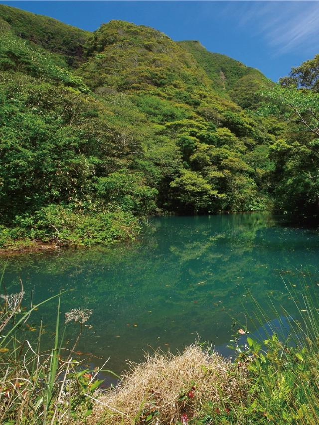 三原山の唐滝・硫黄沼